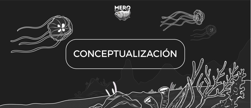 MeroEstudio_Servicios_Conceptualizacion