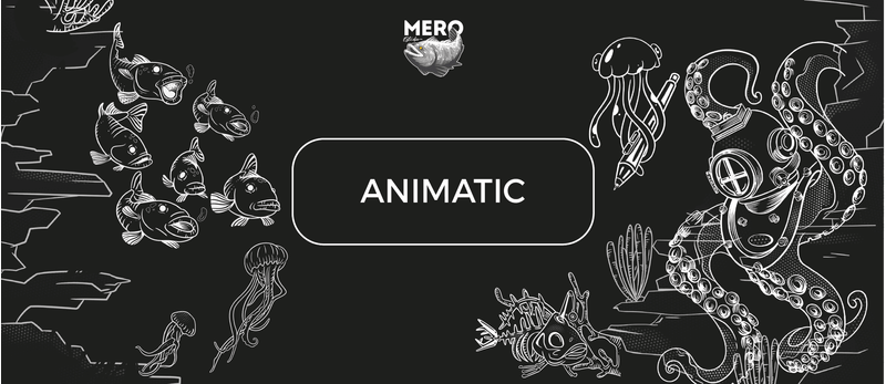 MeroEstudio_Servicios_Animatic