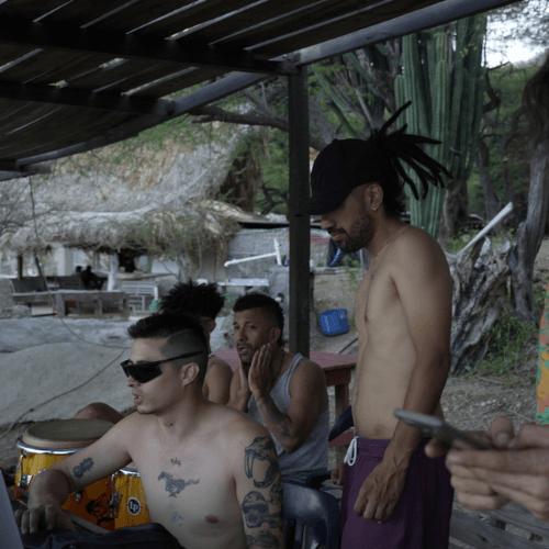 RUA-donkeymonkey-3